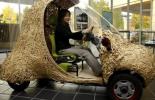 Японцы создали бамбуковый электромобиль