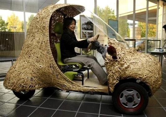 Японцы создали бамбуковый электромобиль